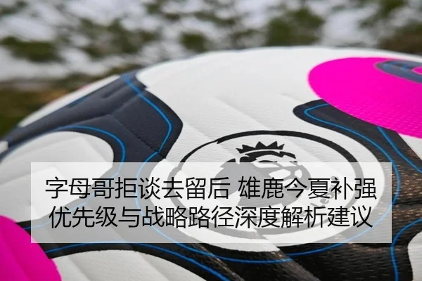 字母哥拒谈去留后 雄鹿今夏补强优先级与战略路径深度解析建议