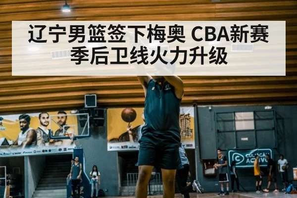 辽宁男篮签下梅奥 CBA新赛季后卫线火力升级